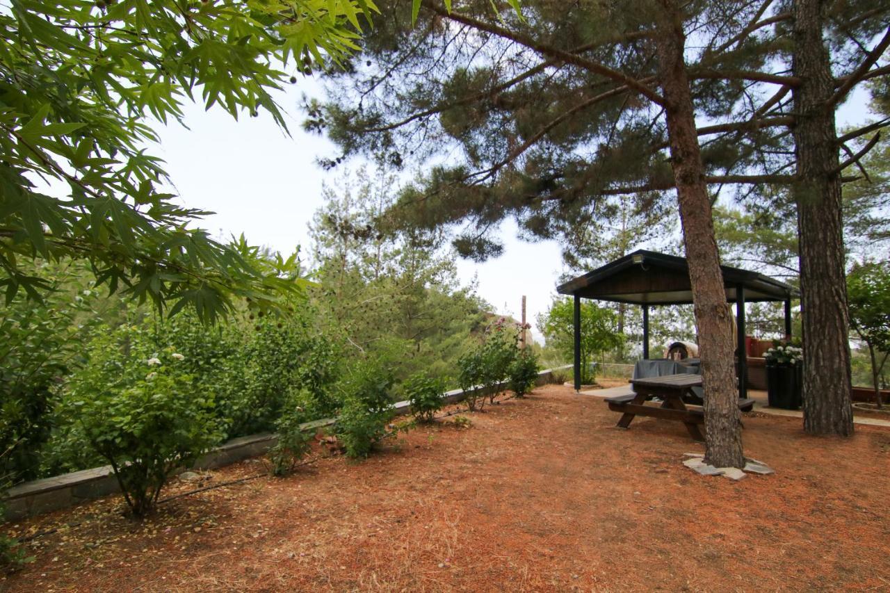Phaedrus Living: Forest View Luxury Villa Chantara Foini Екстериор снимка
